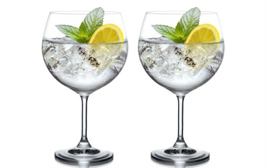 Copa para Gin Tonic - Comprar Copas para Gin Tonic - Gin Tonic Copa - Copas  para Gin Tonic - Copas Gintonic - Giona