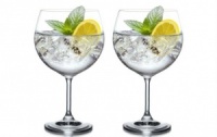 Copa Gin Tonic - Juego de 2